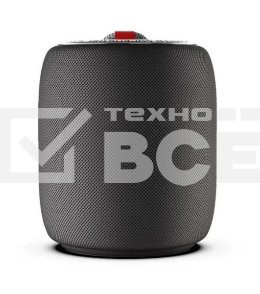 Портативная колонка MONSTER SUPERSTAR s110 (MS11901) черная