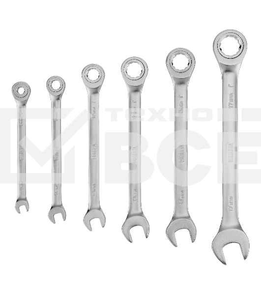 Набор ключей комбинированных трещоточных Denzel 6-17 мм, 6 шт., CrV, матовый хром 14720