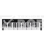 Клавиатура MIDI [AX-1973K] Axelvox [KEY49j Black] 4-октавная (49 клавиш) динамическая USB, 3 кнопки, джойстик (Pitch Bend и Modulation), 1 программируемый фейдер, вход Sustain педали, выключатель питания, питание от USB. Цвет черный., фото 1