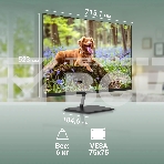 Монитор 31.5