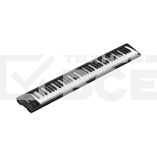 MIDI клавиатура 110105A2032 Icon Artist 88