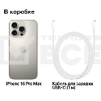 Смартфон Apple iPhone 16 Pro Max, 8/256Gb, бежевый титан, фото11