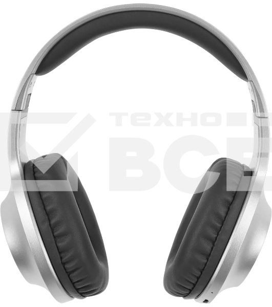 Наушники Panasonic RB-HX220BEES серебристый Полноразмерные Bluetooth наушники с усиленным басом