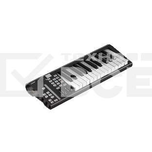 MIDI клавиатура 110105A2033 Icon Artist 25X