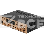 Усилитель Tantos TSo-AA30M выход 100Вт / 30Вт (00-00025068), фото22