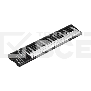 MIDI клавиатура 110105A2035 Icon Artist 49X