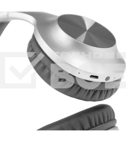 Наушники Panasonic RB-HX220BEES серебристый Полноразмерные Bluetooth наушники с усиленным басом