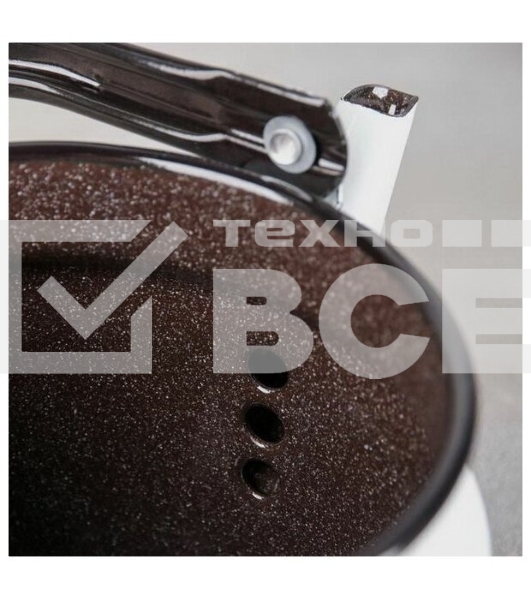 Чайник Лысьва 27104П2 Анютины глазки эмал. 2,0л