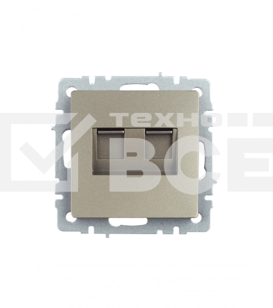 Розетка компьютерная двойная IEK BRITE РК10-2-БрШ (BR-K20-1-K37) СП RJ45 кат.5E шампань