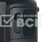 Портативная колонка Hyundai H-PS1025 черный 40W 2.0 BT 10м 3000mAh, фото14