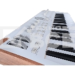 Сценическая клавиатура 230721 Arturia AstroLab 37 White Astrolab White 37 клавиш, полувзвешенная механика, 10 звуковых движков, вокодер, 10 кнопок пресетов, 4 макрорегулятора, MIDI-вход, USB-C и USB-A; аудио Bluetooth; WiFi, цвет белый, фото10