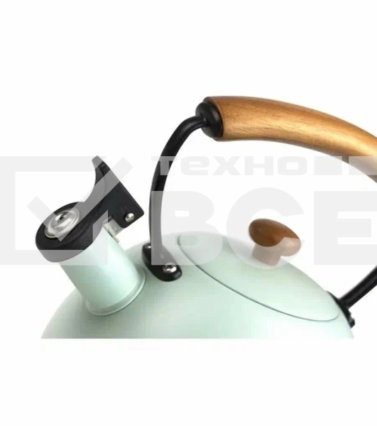 Чайник для плиты Willmark WTK-3694SS (2,8 л, со свистком, с крышкой,ручка из дуба, техн. Easy spout open) Зеленый