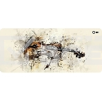 Коврик для мыши Cactus Musical 900x400x4мм (CS-MP-COR02XXL), фото 1