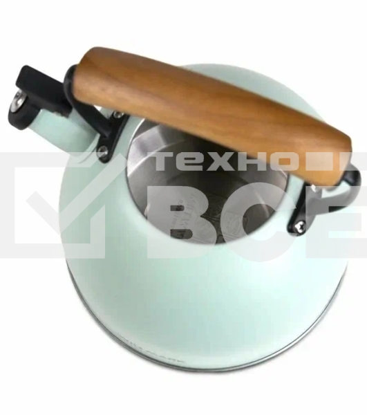 Чайник для плиты Willmark WTK-3694SS (2,8 л, со свистком, с крышкой,ручка из дуба, техн. Easy spout open) Зеленый
