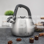 Чайник для плиты TALLER TR-11372 Рейнард 2,2 л, фото7