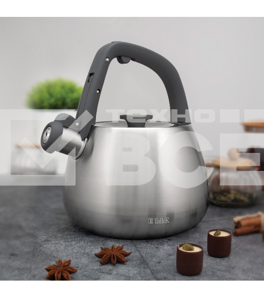 Чайник для плиты TALLER TR-11372 Рейнард 2,2 л