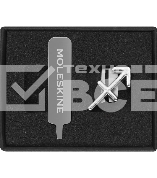 Шильд-символ Moleskine Zodiac Стрелец, металл, серебристый, коробка с европодвесом, PINSAGITTARIUSSILV