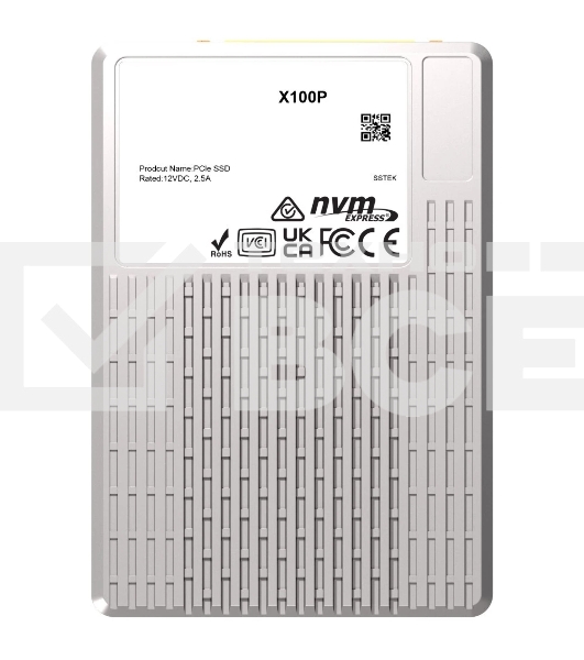 Накопитель SSD PHISON X100P 1920GB NVMe U.3 (15mm) PCIe NVMe Gen4 1x4 R7400/W6900MB/s 3D TLC 1750K/190K IOPS 1DWPD single port  SSD Enterprise Solid State Drive, 1 year, OEM