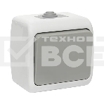 Выключатель EKF Мурманск EFV10-021-30-54 1 -клавишный 10А IP54 серый, фото 1