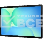 Планшет Samsung Galaxy Tab S10 FE 1580 (2.9) 8C RAM12Gb ROM256Gb 10.9