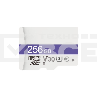 Флеш карта Dahua DHI-TF-C100/256Gb C100 microSD Read 95 MB/s C10/U3/V30 256 Gb