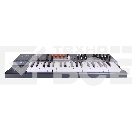 Синтезатор [571001] Arturia [MiniFreak] 37 клавиш, гибридный полифонический с двумя звуковыми движками, фото4