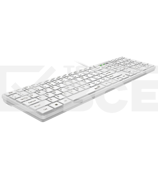 Клавиатура Genius SlimStar 126 wired keyboard white color (12 Multimedia Function Keys and 4 dedicated Hotkeys for Quick Commands, Ultra-Slim Keycaps)