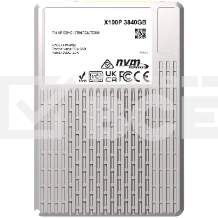 Накопитель SSD PHISON X100P 3840GB NVMe U.3 (15mm) PCIe NVMe Gen4 1x4 R7400/W6900MB/s 3D TLC 1750K/190K IOPS 1DWPD single port  SSD Enterprise Solid State Drive, 1 year, OEM