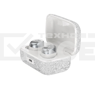 Наушники Sennheiser MOMENTUM True Wireless 4 белый & Silver
