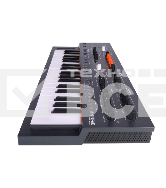 Синтезатор [571001] Arturia [MiniFreak] 37 клавиш, гибридный полифонический с двумя звуковыми движками