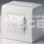 Коробка для миниканалов DKC (ДКС) 10656 с двумя телефонными/компьютерными розетками, белый, фото 1
