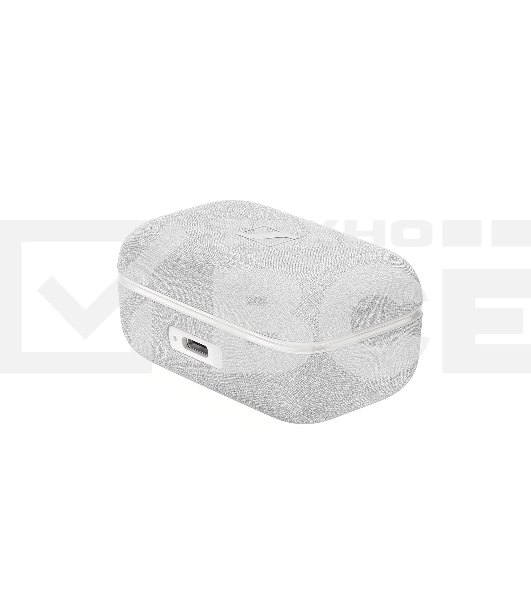 Наушники Sennheiser MOMENTUM True Wireless 4 белый & Silver