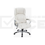 Кресло для руководителя Chairman CH665 экокожа, светло-бежевый (7145942), фото 1