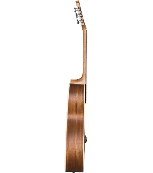 Акустическая гитара BATON ROUGE X11S/P-CHB 6 струн, корпус парлор, цвет Chocolate Burst