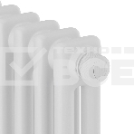 Дизайн-радиатор Royal Thermo Insignia VC2050 - 12 секц. RAL9016, фото2