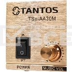 Усилитель Tantos TSo-AA30M выход 100Вт / 30Вт (00-00025068), фото2