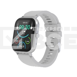 Умные часы Maxvi SW-02 grey