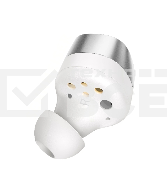 Наушники Sennheiser MOMENTUM True Wireless 4 белый & Silver