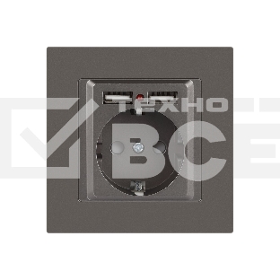 Розетка Intro Accent 6-410-09 P+E Schuko со шторками 16А-250В + 2хUSB IP20 СУ титан Б0063711