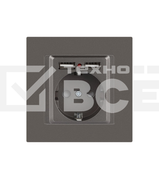Розетка Intro Accent 6-410-09 P+E Schuko со шторками 16А-250В + 2хUSB IP20 СУ титан Б0063711