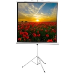 Экран 172x172см Digis Kontur-D DSKD-1104 1:1 напольный рулонный, фото 1