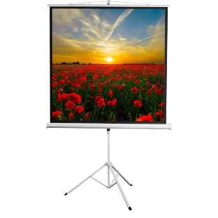 Экран 172x172см Digis Kontur-D DSKD-1104 1:1 напольный рулонный