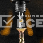 Набор бит Denzel TORX 40х50, сталь S2, шестигранный профиль, 10 шт., фото5