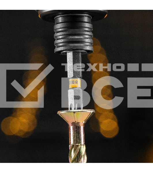 Набор бит Denzel TORX 40х50, сталь S2, шестигранный профиль, 10 шт.