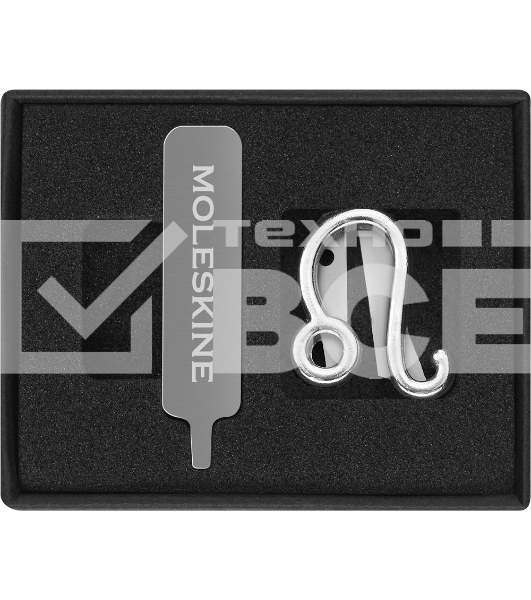 Шильд-символ Moleskine Zodiac Лев, металл, серебристый, коробка с европодвесом, PINLEOSILV