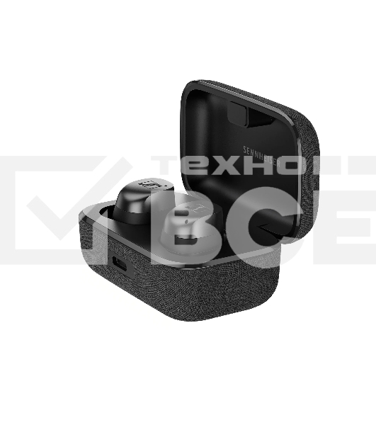Наушники Sennheiser MOMENTUM True Wireless 4 черный/графит