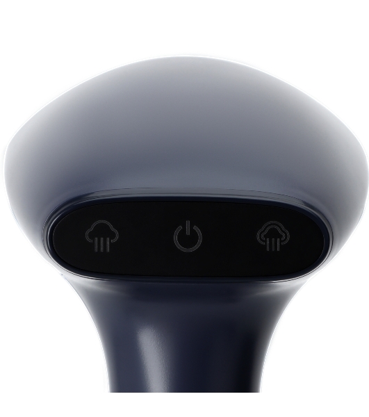 Отпариватель RAGEX R1002-415 черничный, 1800 Вт, 28 г/мин, 300 мл