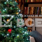 Гирлянда светод. рисовая Funray RL-110W, 10м, 100LED, хол.белый, темно-зел. шнур 0,7м, контроллер, фото8