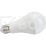 Лампа cветодиодная LED IEK LL-A65-25-230-40-E27-G груша, A65 25Вт 230В 4000К E27 GENERICA, фото5