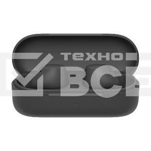 Гарнитура внутриканальные Sony WF-C510 черный беспроводные bluetooth в ушной раковине (WF-C510/BZE)